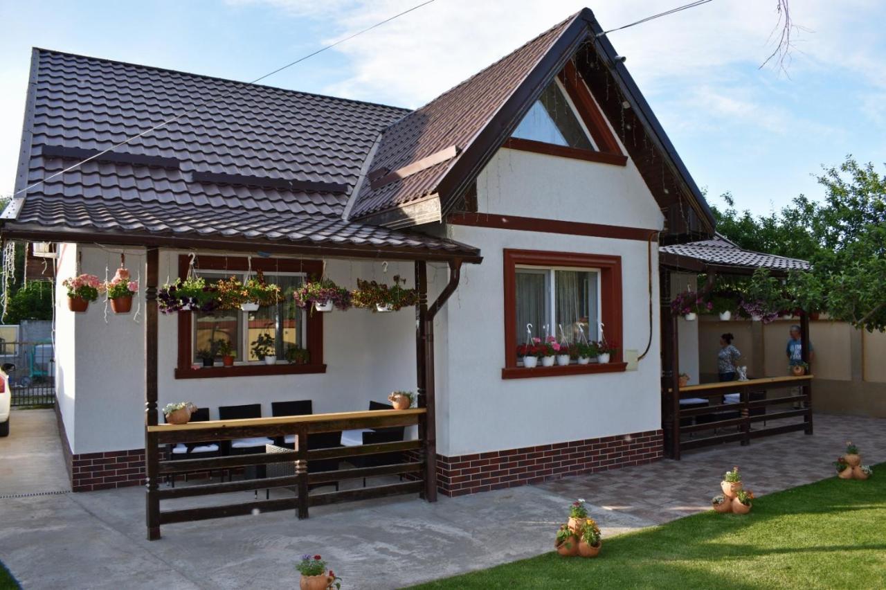 Casa De Vacanta Dalia Si Crina Babadau Exterior foto