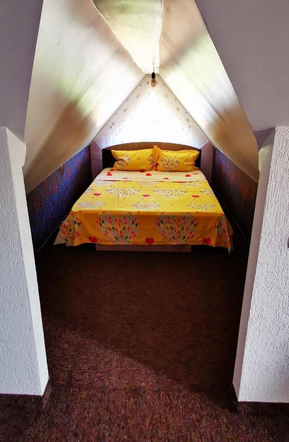 Casa De Vacanta Dalia Si Crina Babadau Exterior foto